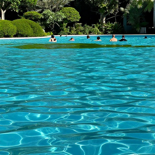 Algicida Ideal para Piscinas: Guia Completo sobre Preço e Eficiência